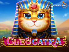 Bedava slot casino oyunları65